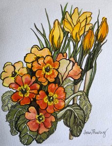 Crocus y prímulas de Joan Thewsey